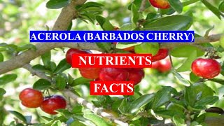 ACEROLA BARBADOS CHERRY   Fruit  HEALTH BENEFITS AND NUTRIENTS FACTS [upl. by Aikemet]