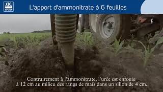 La fertilisation du maïs  lapport d’ammonitrate audelà de 6 feuilles [upl. by Kelwunn]