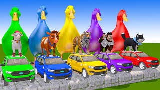 5 Giant Duck CartoonCowTigerElephantSheepMonkey Paint Wild Animals Crossing Fountain Animation [upl. by Enyleuqcaj]