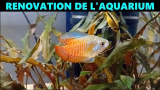 Chantier dans laquarium [upl. by Leamsi]