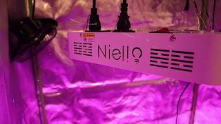 Niello 600W Full Spectrum LED Grow Light [upl. by Zigmund369]