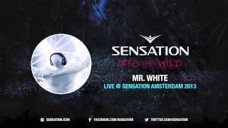 Tiesto  Tell Me Why  Live At Sensation White [upl. by Llertak494]