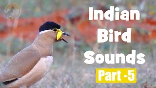 Indian Bird Sounds  Part 5 HD sound and video indianbirds indianbirdsounds birdcalls [upl. by Niwle]