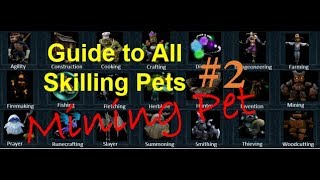 Guide to All Skilling Pets 2  Mining Pet  Rocky  Runescape3 [upl. by Llewkcor]