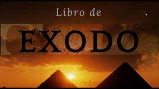 Exodo 122951 Israel sale de Egipto [upl. by Tobye]