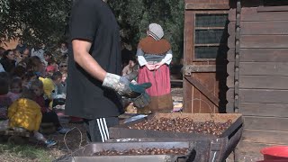 La Festa de la Tardor celebra una dècada de vida [upl. by Allit750]