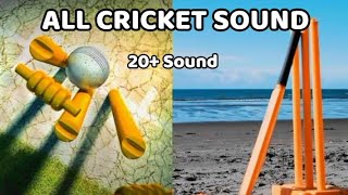 20 Sound For Editing  Cricket Bat sound effect  Cricket wicket sound [upl. by Kaczer]