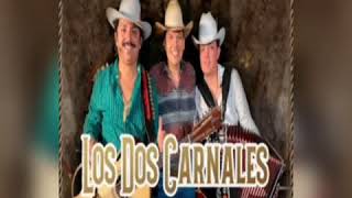 Los Dos Carnales FT Leandro Ríos  Debajo Del Sombrero En Vivo Desde Unas Banqueteras Con El Penco [upl. by Aztilay]