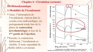 6  Circulation Coronaire 1 [upl. by Harrod446]