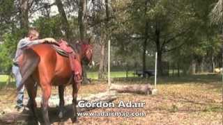 Train horses to move towards mounting block for easy mounting to eliminate sore backs [upl. by Nevetse347]