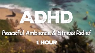 Listen to this for Peaceful Ambience amp Stress Relief — Reduce Test Anxiety with Isochronic Tones [upl. by Ecadnak]