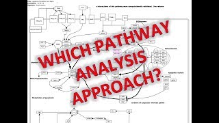 3 Approaches to Pathway Analysis [upl. by Brodeur]