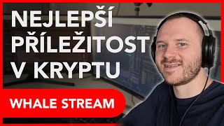 Kolik se dá vydělat crypto tradingem v 2023 [upl. by Yaja]