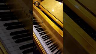 How Pianos In Cartoons ACTUALLY Sound… 👀😂 piano pianomusic [upl. by Artenek]