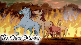 The Silver Brumby  Escape From The Fire  Full Episode  Videos For Kids  Videos For Kids [upl. by Ettellocin360]