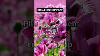 You Wont Believe This Shocking Relationship Fact realtionshipfacts [upl. by Loise]