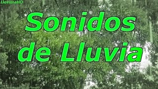 12 horas de lluvia para dormir y relajarse  sonidos de lluvia  dormirse [upl. by Dorotea845]