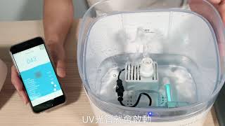 PETONEER UV 殺菌智能寵物飲水機 簡易教學 [upl. by Lynelle]