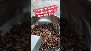 Heritage Farms Pecan Processing Plant is officially open [upl. by Libna]