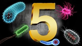 5 BACTERIAS SENSACIONALES [upl. by Elden]