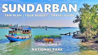 Sundarban Tour Guide Trip Plan Tour Budget Travel Vlog  Sundarbans National Park  Sundarbn Tour [upl. by Bausch603]