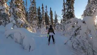 20230101 Happy MTB Vinter Lofsdalen [upl. by Colt]