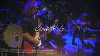 Govt Mule  Bad Little Doggie Hondarribia Blues Festival 2014 [upl. by Barolet749]