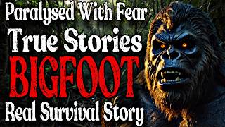 3 Hour TOP BIGFOOT Encounter Stories  BIGFOOT Documentary  BIGFOOT Sighting Latest Vol18 [upl. by Ramoj685]