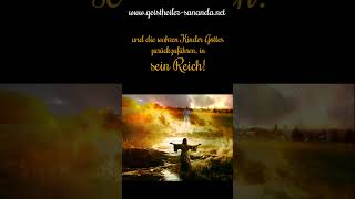 quotDie DUNKELHEIT wird ALLES versuchenquot Geistheiler Sananda aus Zitate und Weisheiten 2  Seite 52 [upl. by Willms555]