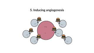 Practical Understanding of the Hallmarks of Cancer and Molecular Integrative Oncology MIO [upl. by Carri197]