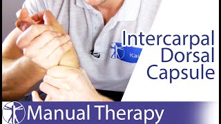 Intercarpal Assessment amp Mobilization Wrist Flexion  Radioscaphoid Joint [upl. by Anivahs]