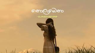 Nolabena  නොලැබෙනා  Slowed  Reverb [upl. by Hanahs534]