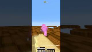 Nice Clips minecraft gaming pvp games minecraftpvp short [upl. by Anerroc36]