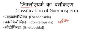 Classification of Gymnosperm Plants in Hindi  अनावृतबीजी पादपों का वर्गीकरण [upl. by Daniels148]