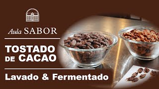 Todo lo que tienes que saber sobre Tostado de CACAO [upl. by Essa]