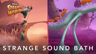 Strange World  Strange Sound Bath [upl. by Ennayr]