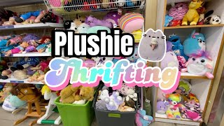 BuildaBear Jellycat and TyOH MY • Thrifting for Plushies and Stuffed Animals [upl. by Hcirdla905]