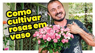 COMO CULTIVAR ROSAS EM VASO [upl. by Littlejohn]