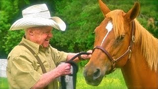 LOST STALLIONS THE JOURNEY HOME  starring Mickey Rooney  Official Trailer [upl. by Ahseei751]