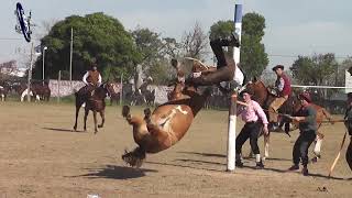 Caidas impresionantes en Clina en Victoria Entre Rios [upl. by Ornas]