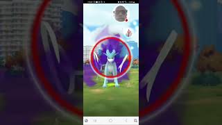 Catching A 3rd Shadow Shiny Suicune From The Mankey Community Day [upl. by Mihar]