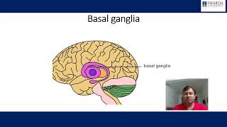 Basal ganglia [upl. by Woodhead807]