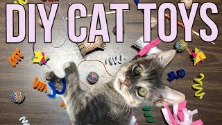 5 Easy Cat Toys Kids Can Make at Home [upl. by Macpherson]