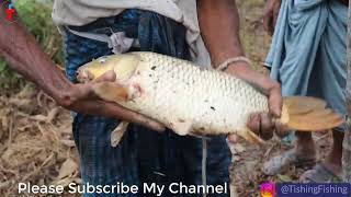 Traditional Net Fishing Catching Huge Fish with Cast Nets [upl. by Bondie148]