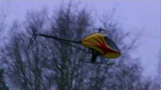 Henseleit Abendflug 2012 TDR Rigid [upl. by Nylloc]