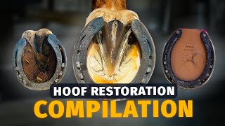 4K ASMR  Compilation of Satisfying Horse Hoof Restoration [upl. by Wernsman]