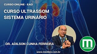 Curso de Ultrassom USG do Sistema Urinário [upl. by Esertak]