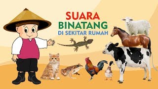 Mengenal Suara Hewan untuk Anak  Video Edukasi Anak Indonesia [upl. by Eilama783]