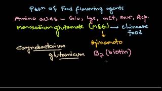 Monosodium glutamate production [upl. by Claudia]