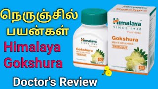 himalaya gokshura tablet in Tamil review uses benefits dosage side effects price in tamil [upl. by Robyn543]